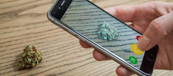 KushScan app screens for cannabis classification